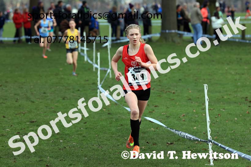 Girls Under-13s, 2024 CAU Inter Counties Cross Country Champs., Wollaton Park, Nottingham. Photo: David T. Hewitson/Sports for All Pics